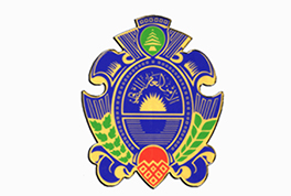 General Security logo