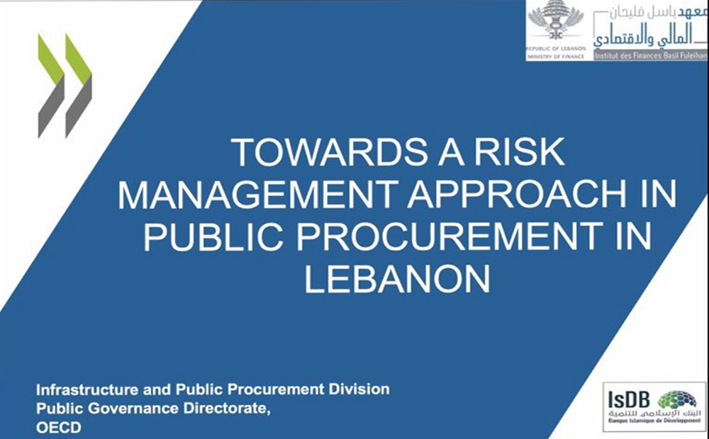 Towards a risk management approach to public procurement