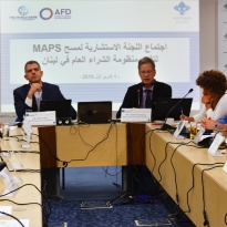 Meetings of MAPS National Steering Committee